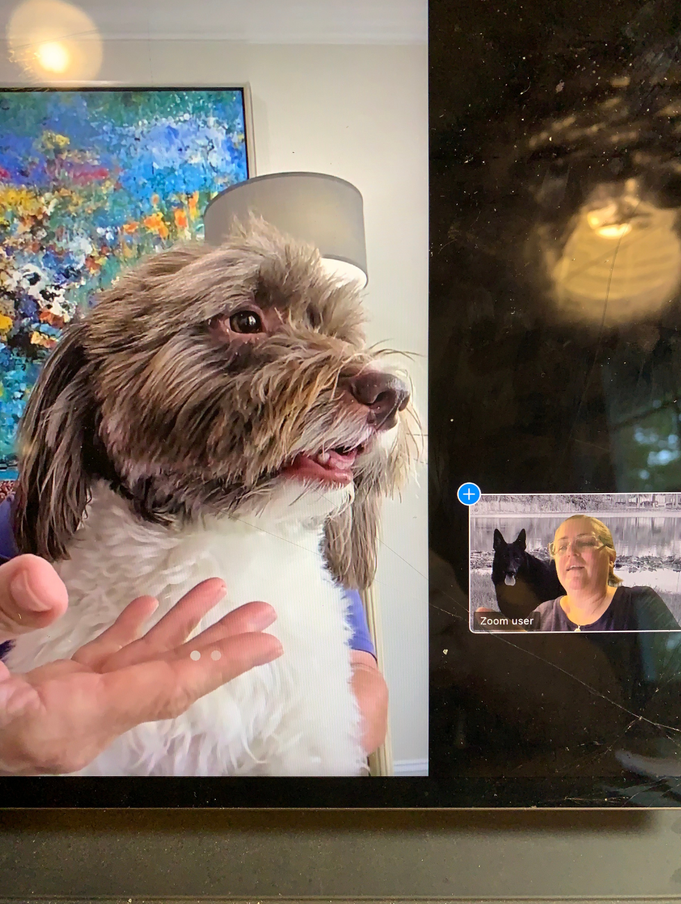 Dr Truli on a video call with a client giving vet care with telemedicine