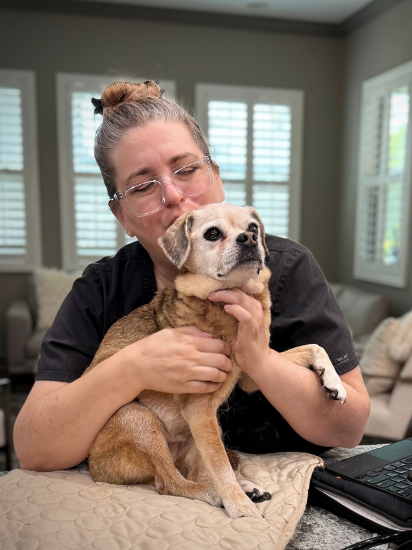 Dr. Sandra Truli, providing veterinary care for a pugle at a home visit.